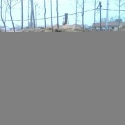 大棚蔬菜保温草帘机 蒲草草帘编织机