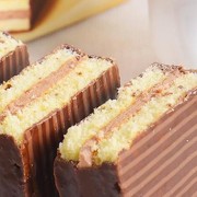 全自动多功能巧克力涂层设备 巧克力涂层生产线 巧克力浸涂生产设备 巧克力涂层机